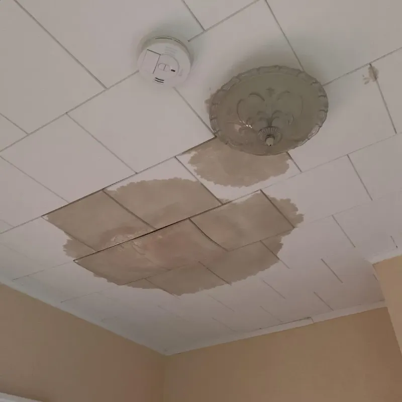 Ceiling Water Damage Repair in Quinnesec, MI